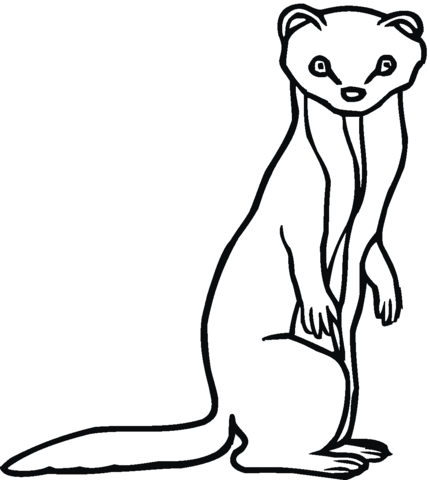 Marten 1 Coloring Page